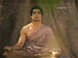   / The Life Of The Buddha (2003)