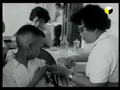 Пандемии Лжи Пандемии Лжи