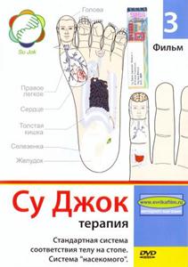 Су Джок терапия. Стандартная система соответствия телу на стопе. Система Су Джок терапия. Стандартная система соответствия телу на стопе. Система