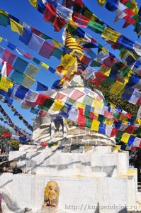 ���� ����������. �����. ��������