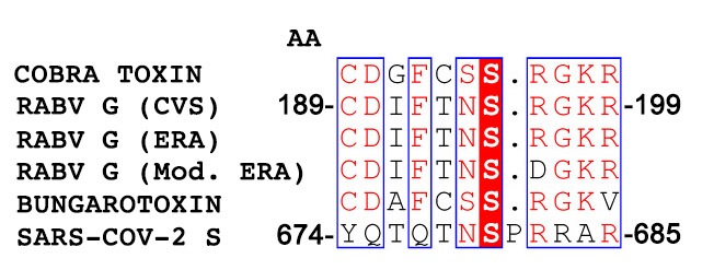 SARS-CoV-2 SARS-CoV-2