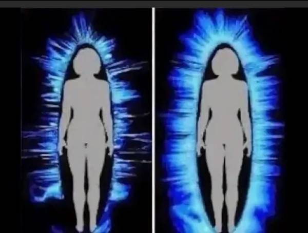 �������-������ ����������� ������� ����������