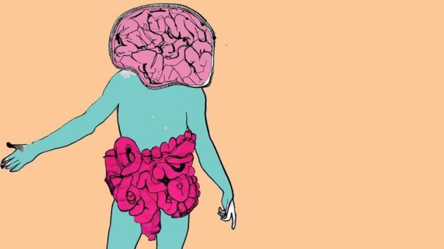 Ученые: больше половины ваших клеток — не человеческие Ученые: больше половины ваших клеток — не человеческие