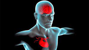 ���� ������ ������ �� ��������� ����