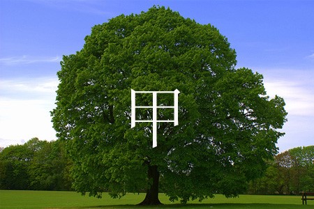 ������ ������