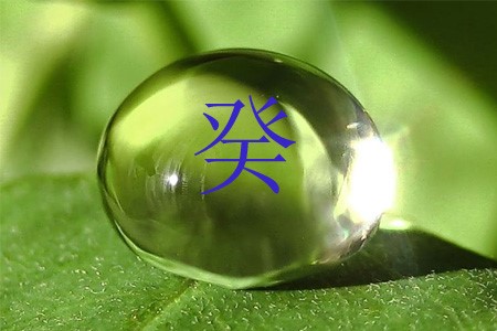 ������� ����