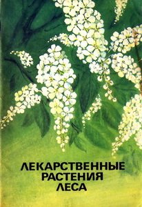 Лекарственные растения леса Лекарственные растения леса