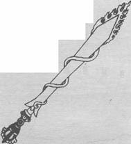 ��� ����