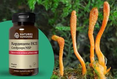 ���������: ��������� ���� � �������� �������������