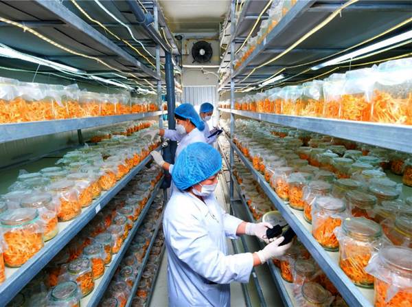 ���������: ��������� ���� � �������� �������������