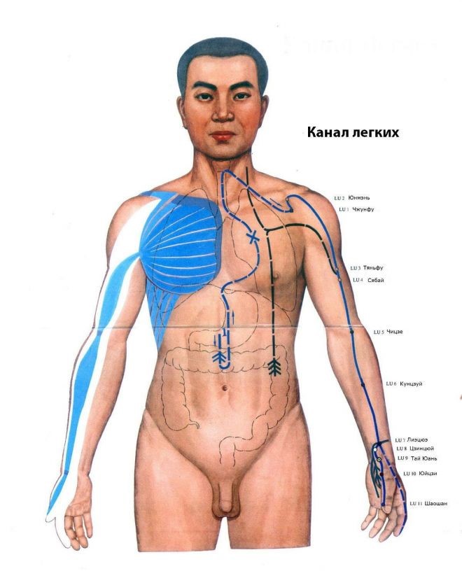 ����� �����: ���������� � �������, ������, ����������� � �����