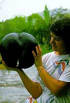 ������ ���������