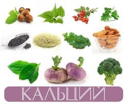 Где брать кальций? Где брать кальций?