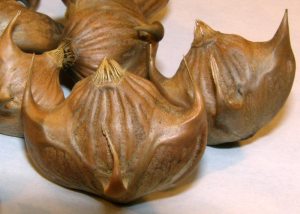 ������� ���� (�����)