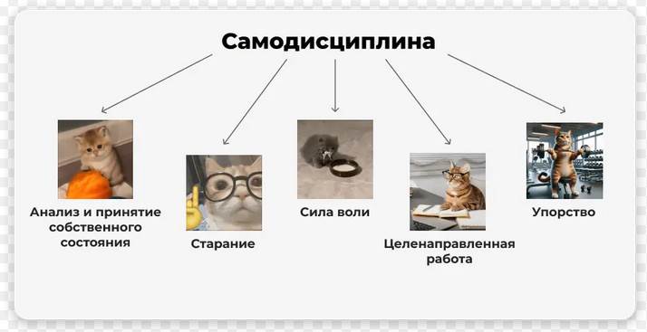 ��� ������� ���� ���� � ��������������