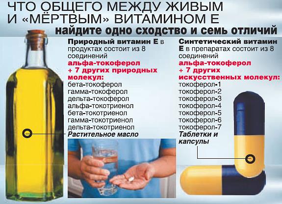 Что общего между живым и Что общего между живым и