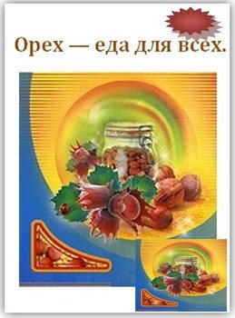 Орех — еда для всех Орех — еда для всех