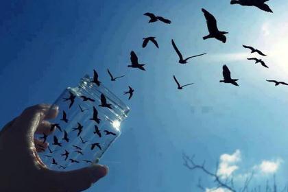 ������ �������� �������� �� ��������