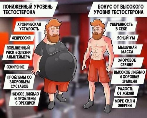 Как повысить уровень тостостерона Как повысить уровень тостостерона
