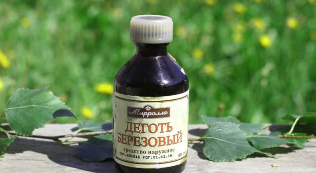 О берёзовом дёгте О берёзовом дёгте