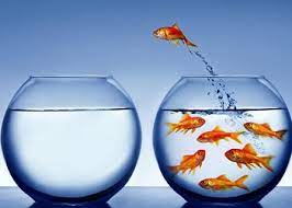 ����� ������� ����� �������� ���� �����