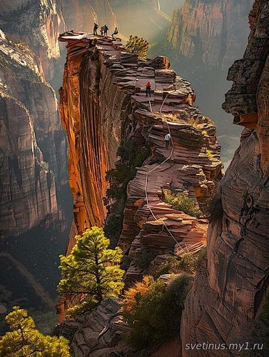 ������ ������������� ��������