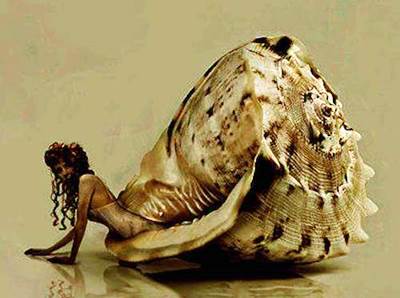 ��������������� ������: ���� ������ ������� � ������ ������� ���� �����