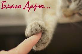 ����� ����