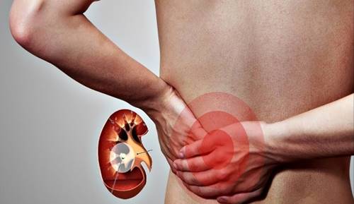 Кожные признаки заболевания почек Кожные признаки заболевания почек