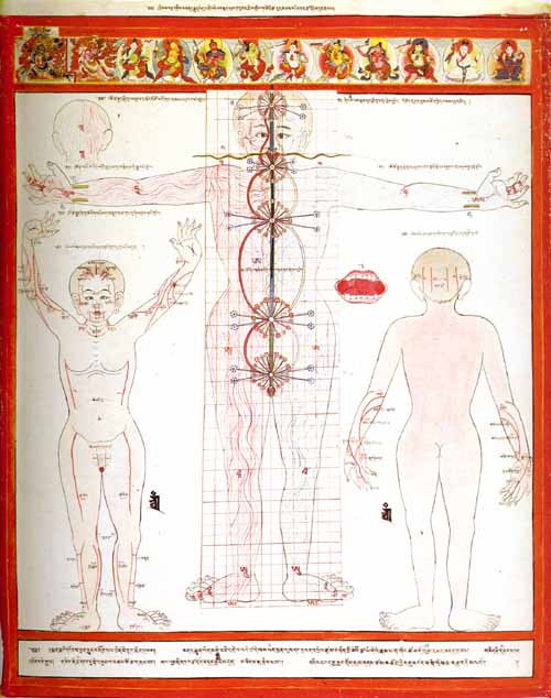 Атлас тибетской медицины. Лист 12. Лист 12