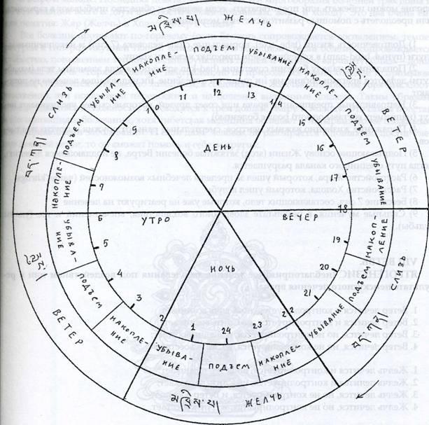 �������� ���� 3 ����