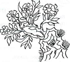 ����������� ���������� (����, ������)