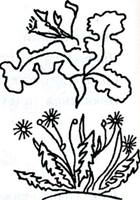 ������ ����������