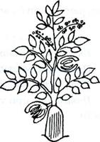 �������