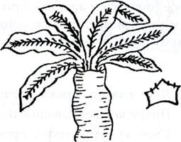 ������ ����������