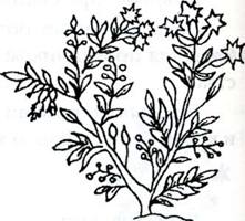 ���������(�������� �������������)