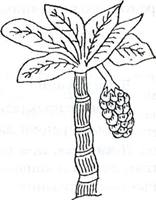 ����� ������