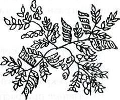 �������� �����