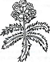 �������� ������������