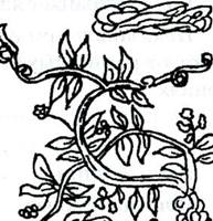 ������ ����������