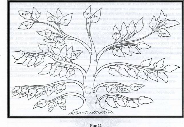 ����� �������� ��������