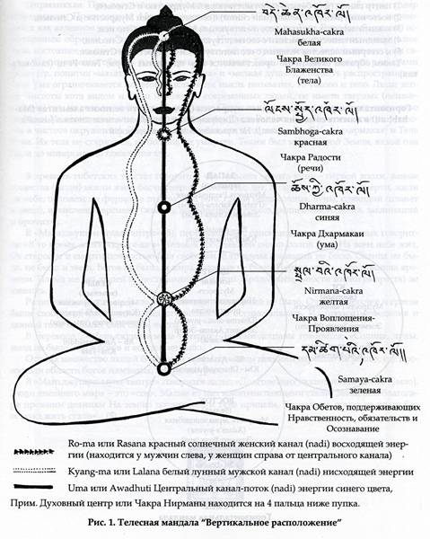 ������������ �������� �������. 