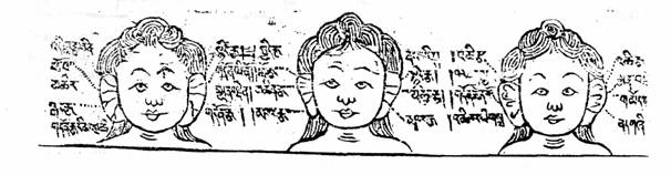 � �������� ������� ��������