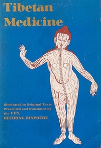 Tibetan Medicine: Illustrated in Original Texts