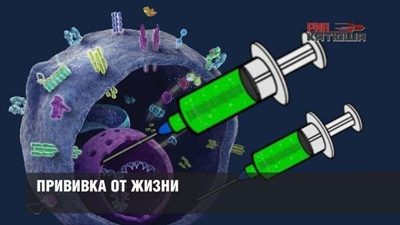 � ������������ � ���������� �������� ���������� ������� ����