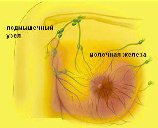 Вред от дезодорантов Вред от дезодорантов
