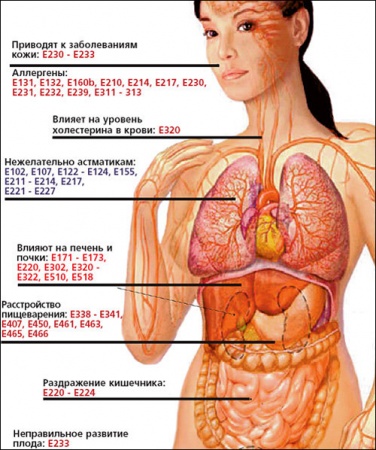 ���� �� ������������ ���-���������