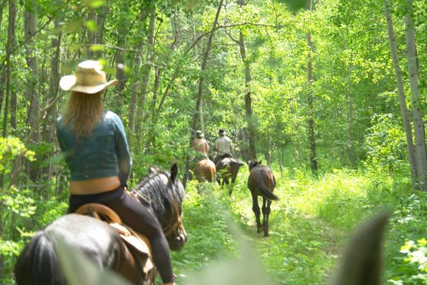 �������� �� �������