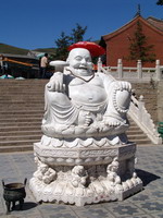 ����-����