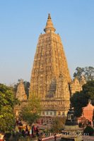 ��������, ������� 2011� (137 ����)